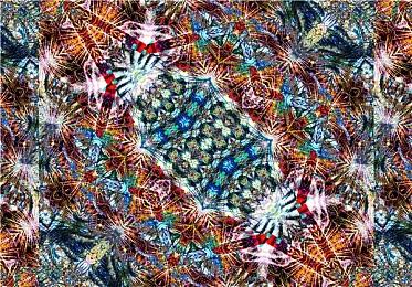 《暗黑2》神级Mod新版8月27日推出 新怪新系统等